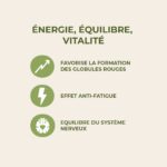 La vitamine B12 favorise la formation des globules rouges, est anti fatigue, et équilibre le système nerveux