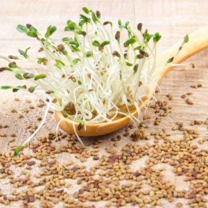 graine de quinoa germée vitamine B