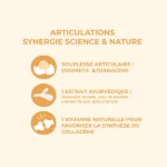 Infographie présentant les bienfaits du collagène pour la peau, les os et les articulations