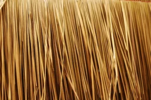 Texture vegetale evoquant la fibre d acacia ingredient naturel riche en fibres solubles