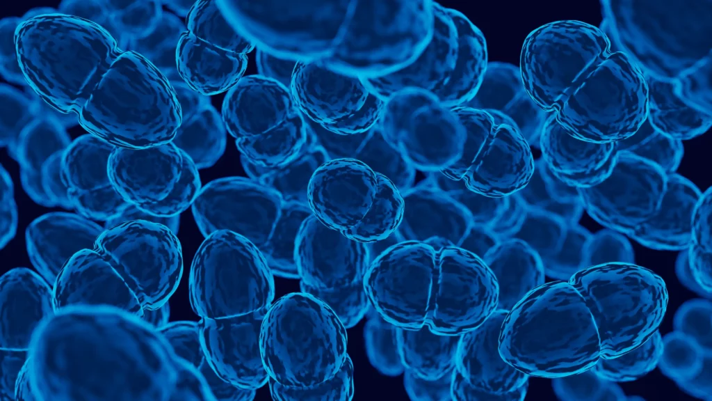 Representation microscopique de cellules illustrant le stress oxydatif et les mecanismes du vieillissement cellulaire