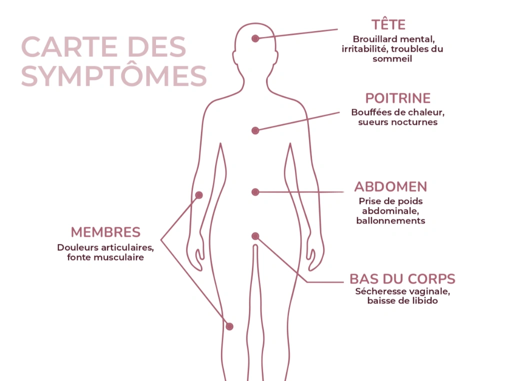 Infographie médicale montrant la carte des symptômes de la périménopause sur silhouette féminine : migraines, bouffées de chaleur, palpitations, douleurs abdominales, baisse du désir sexuel et troubles du sommeil